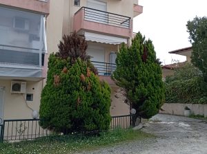 Καλο